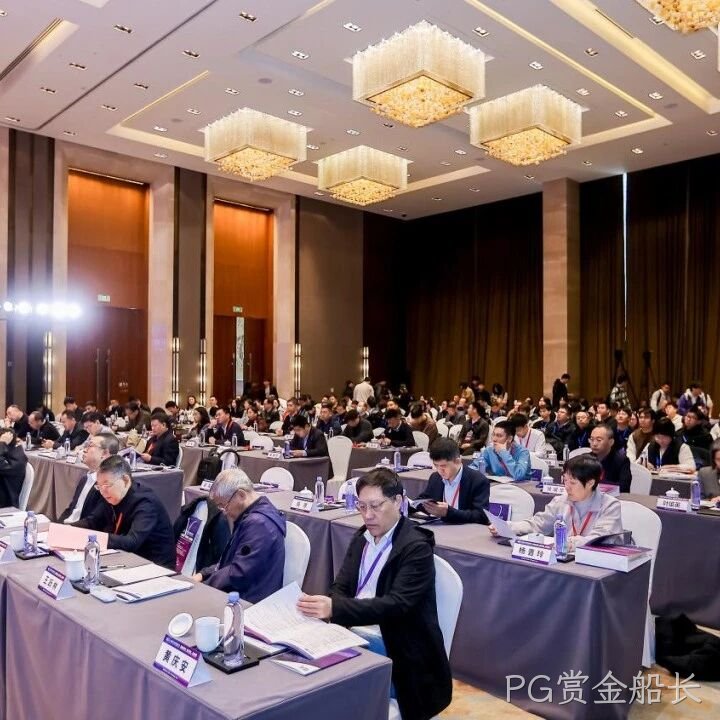 PG赏金船长</a>参加2025智能微系统研讨会