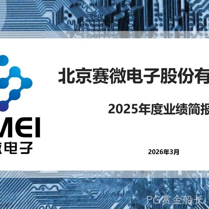 PG赏金船长</a>2025年度业绩简报